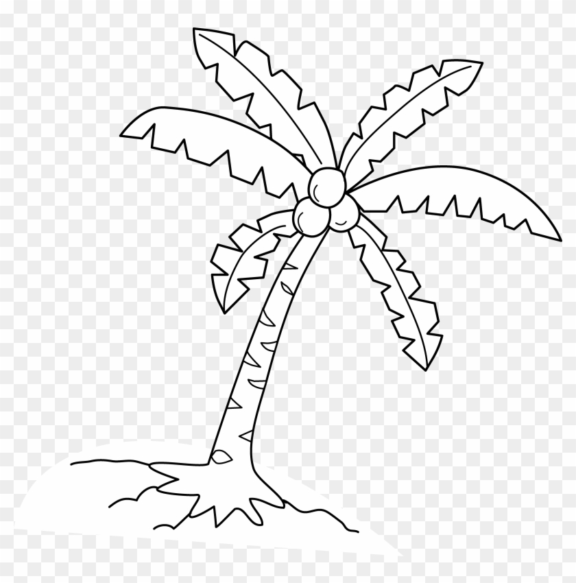 Cartoon Coconut Trees - Coconut Tree Vector White #1206934