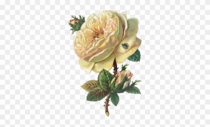 Láminas Vintage - Yellow Rose Necklace - Rose Pendant And Chain - Yellow #1206955
