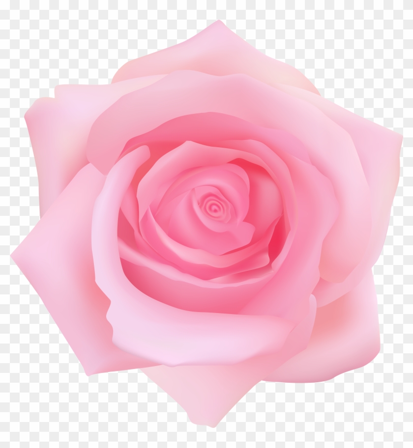 Garden Roses Centifolia Roses Clip Art - Garden Roses Centifolia Roses Clip Art #1207154