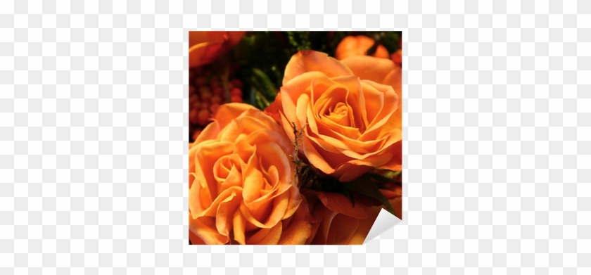 Floribunda #1207358