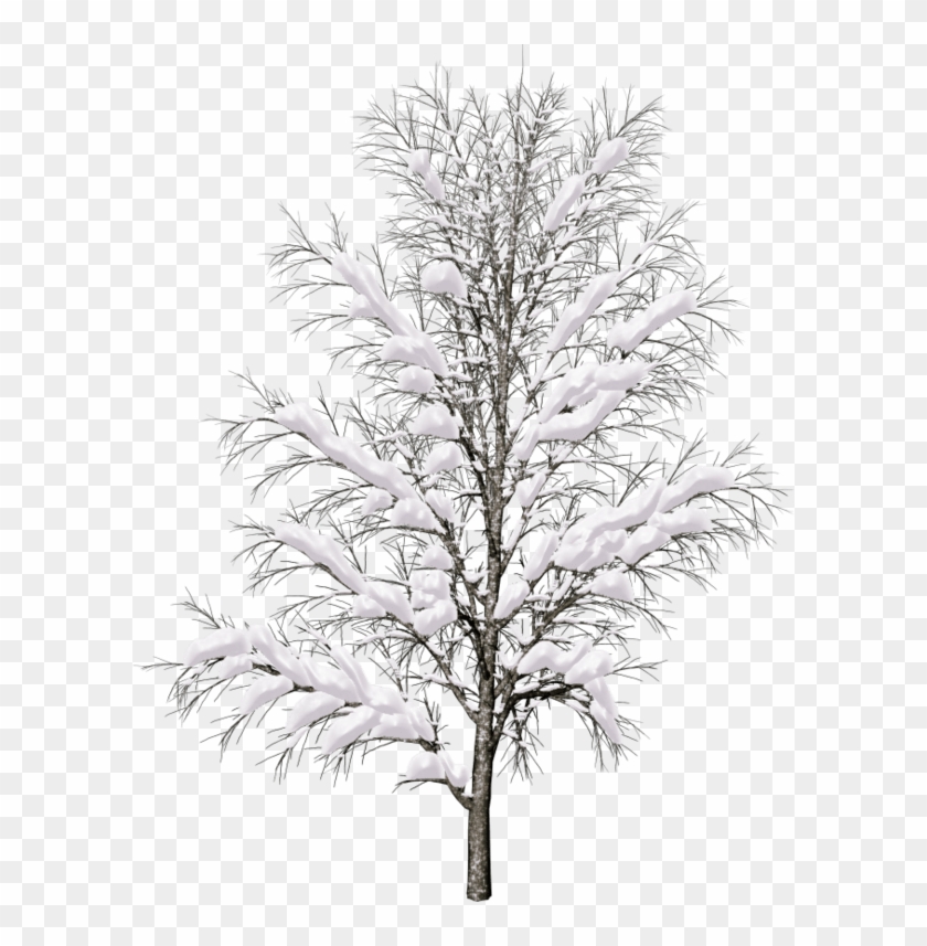 Big Green Tree Png Image - Nebau Berlin Tree Png #1210574