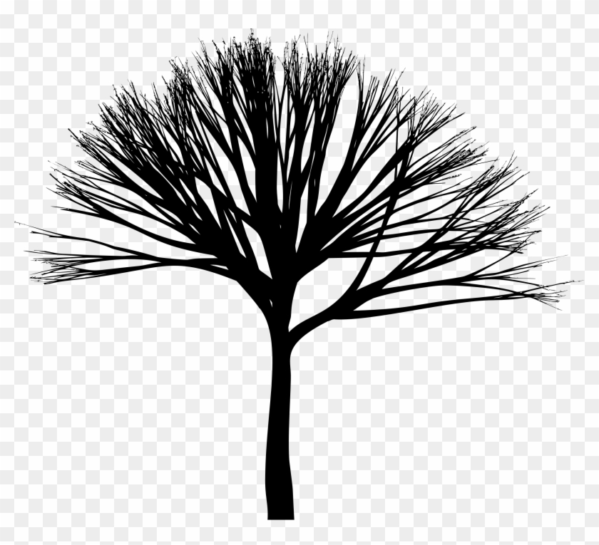 Tree Silhouette 3 - Clip Art #1210792