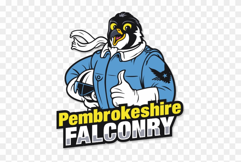 Pembrokeshire Falconry - Pembrokeshire Falconry #1210798