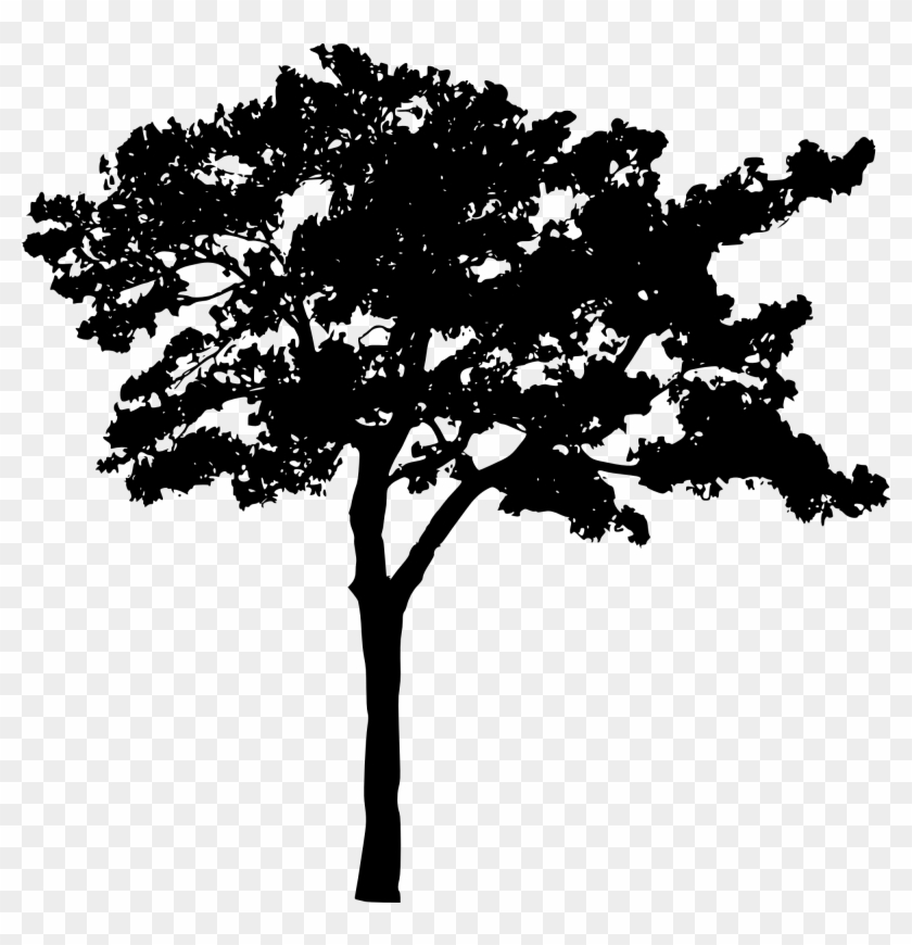 Tree Silhouette - Tree Silhouette #1210845