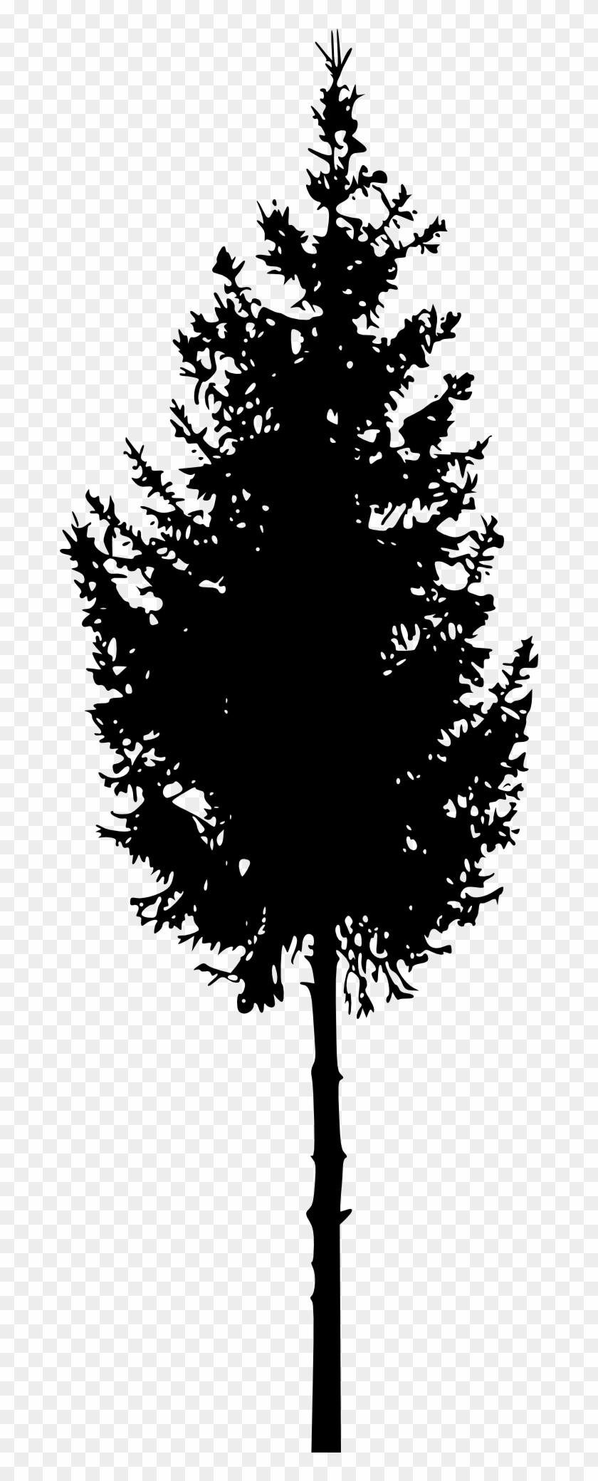 Free Download - Tree Silhouette Png #1210857