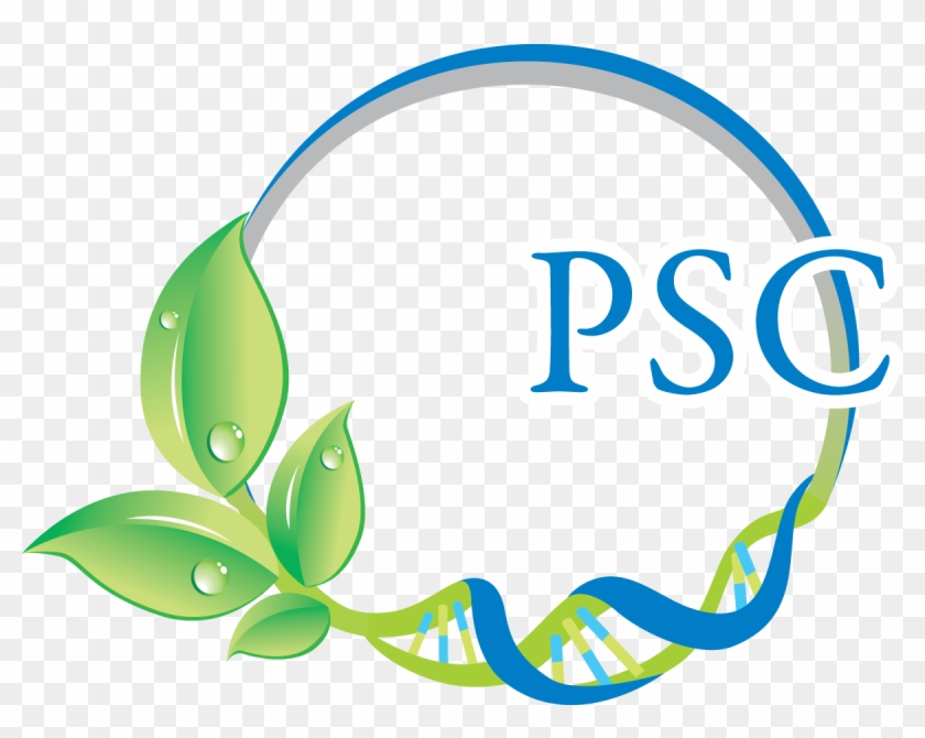 Psc Logo Download - Psc Logo Download #1211003