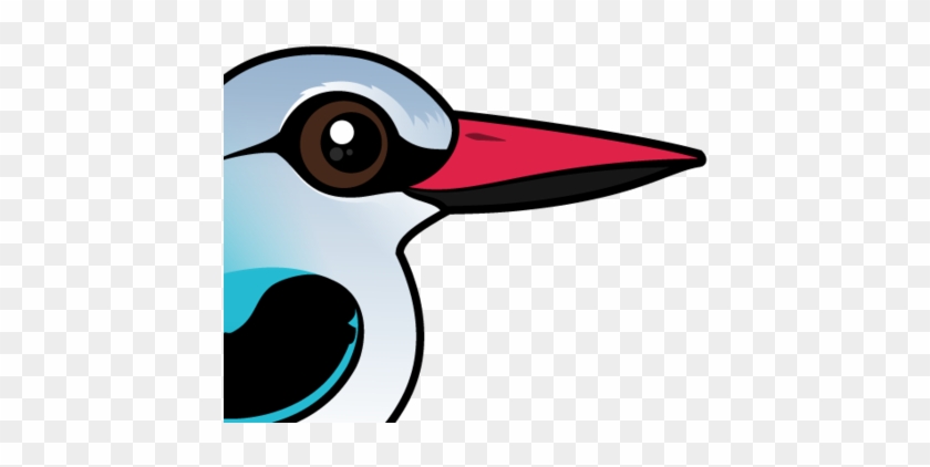 About The Woodland Kingfisher - Woodpecker #1211296