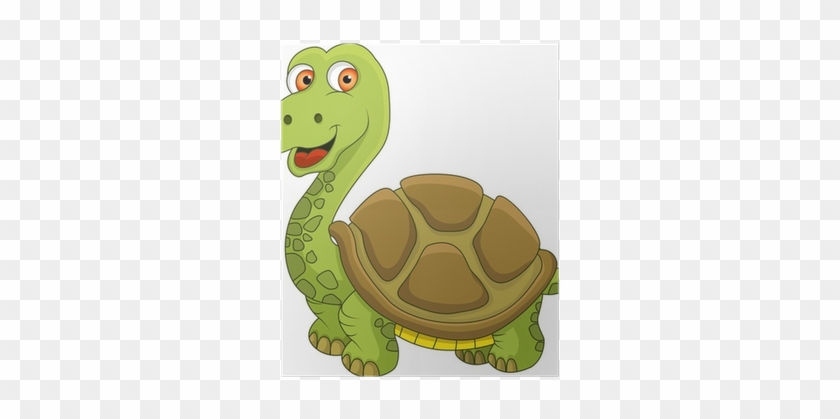 Turtle #1211683