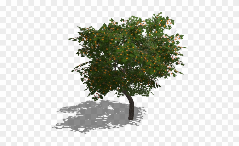 Thumbnail A4e56368 317a 4b66 9ecc B77a9a178331 Thumbnail - Tree #1212049
