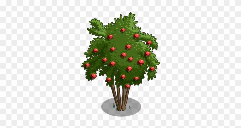 Pomegranate Tree 100-icon - Pomegranate Tree #1212055