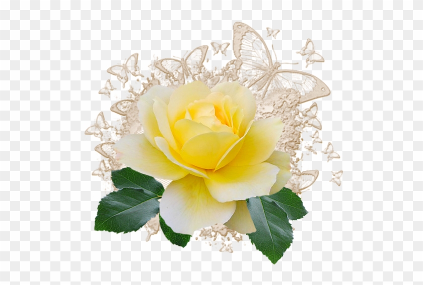Nurcan Cüceoğlu/emeksensin - Com/nurcandesign - Garden Roses #1212627