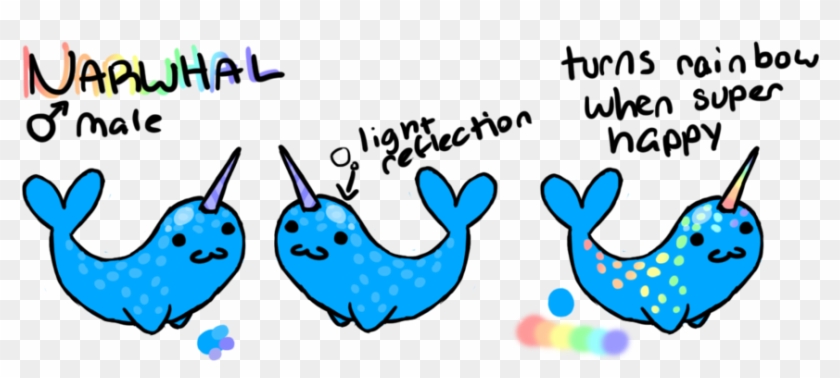 Narwhal Ref By Converse-kitten - Narwhal Ref By Converse-kitten #1212974