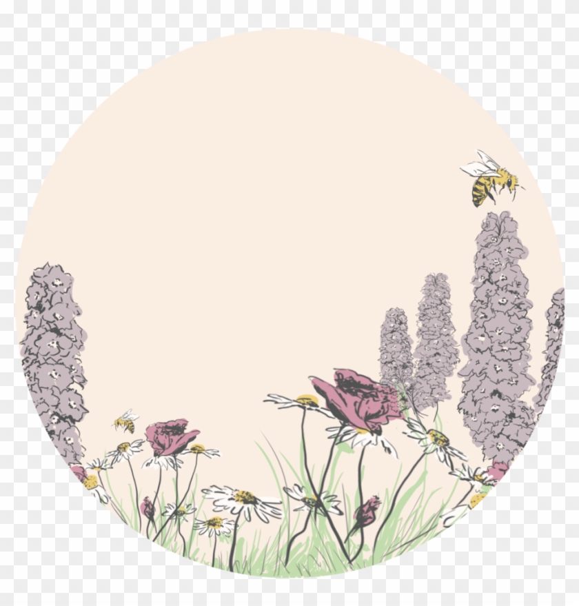 Roundwildflower - Roundwildflower #1214511