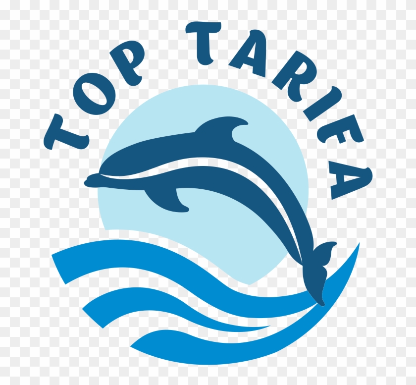 Top Tarifa - Cetacea #1214770