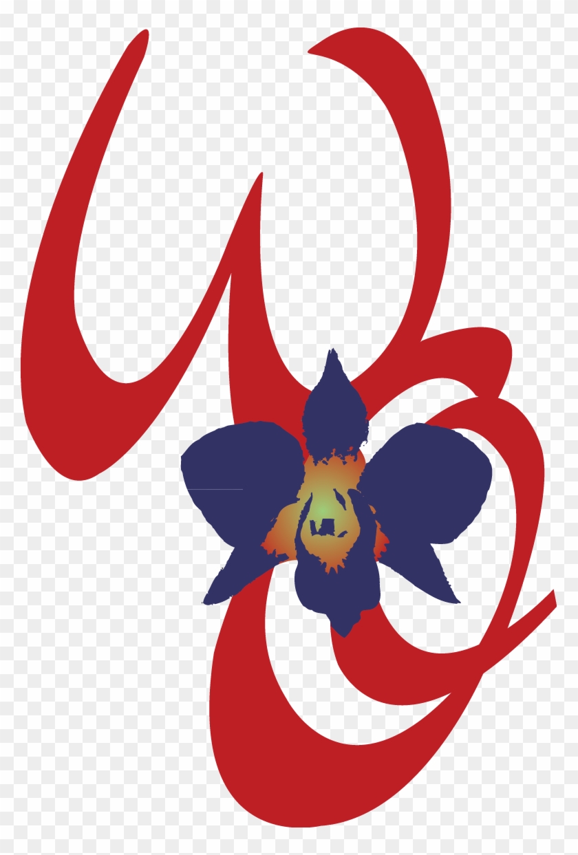 Wild Orchid - Wild Orchid #1215103