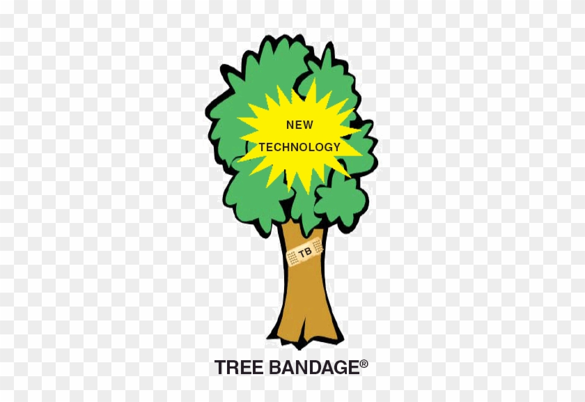 Tree Bandage - " - Best Day (boy Version) [book] #1215372
