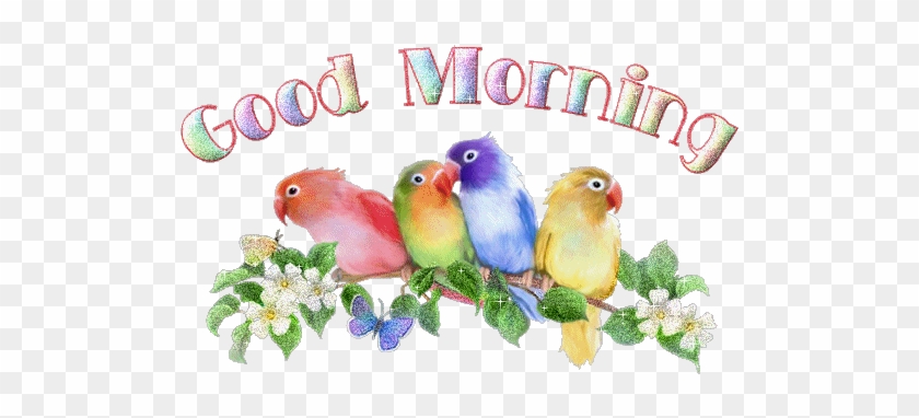 Good Morning Animation Images, Bird Sound Effect - Animated Love Birds Gif #1216064