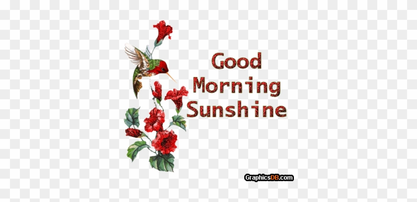 Morning Good Bird Gif - Good Morning Sunshine Animated Gif #1216098