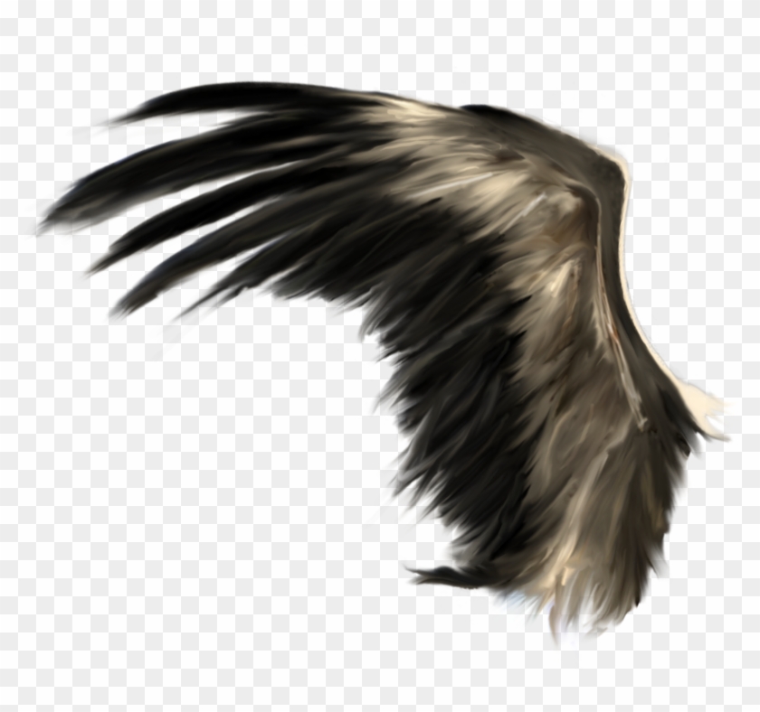 Wings Png #1216992