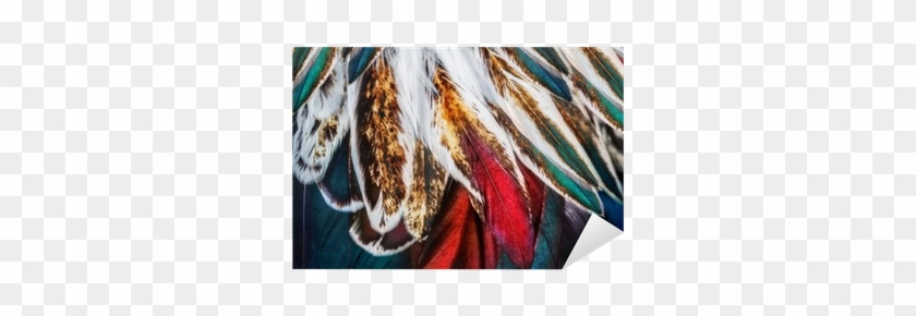 Bright Brown Feather Group Of Some Bird Sticker • Pixers® - Feather #1216996