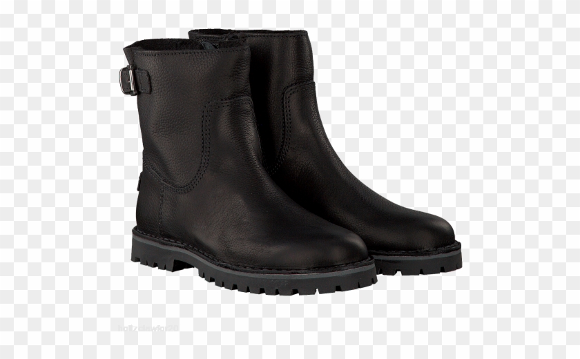 Isabel Marant Danae Boots #1217076