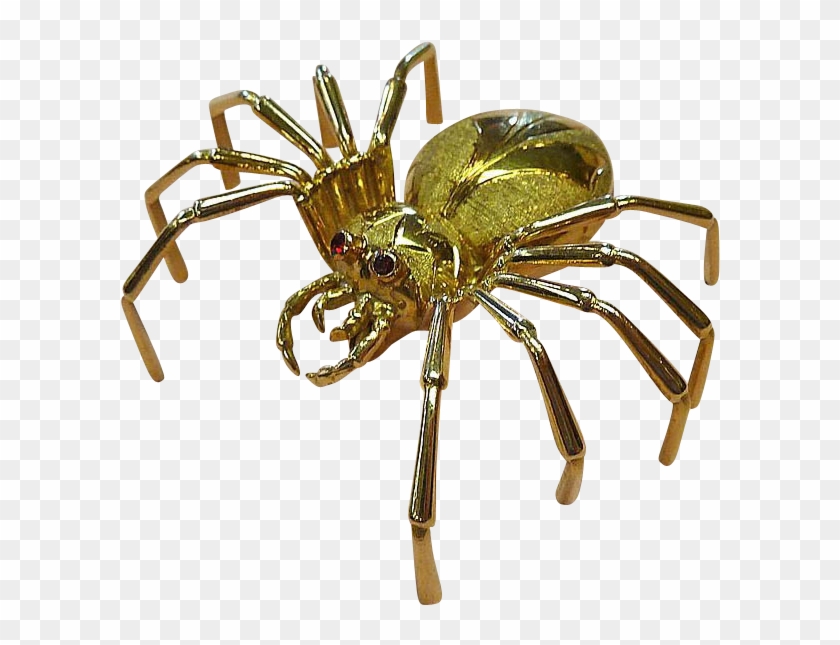 Spider #1218148