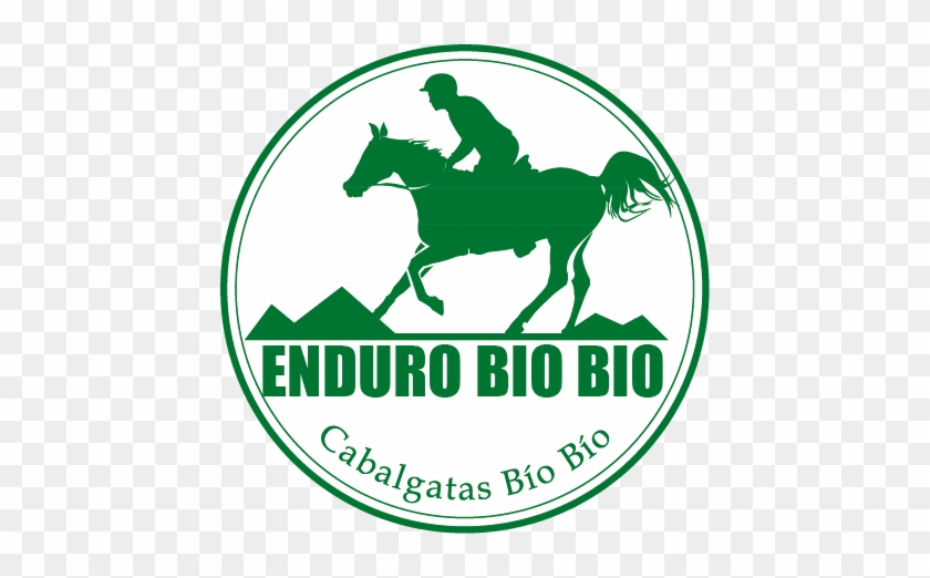 Habilitatoria Bio-bio - Los Ángeles #1218559