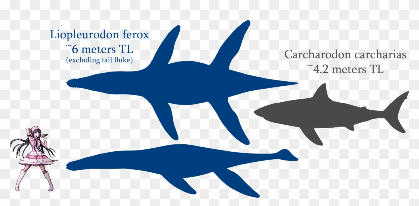 Liopleurodon #1218753
