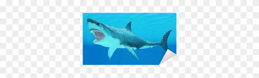 Supplier Generic Great White Shark Swimming Underwater #1218796