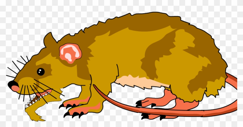 Huge Rat - Huge Rat #1219201