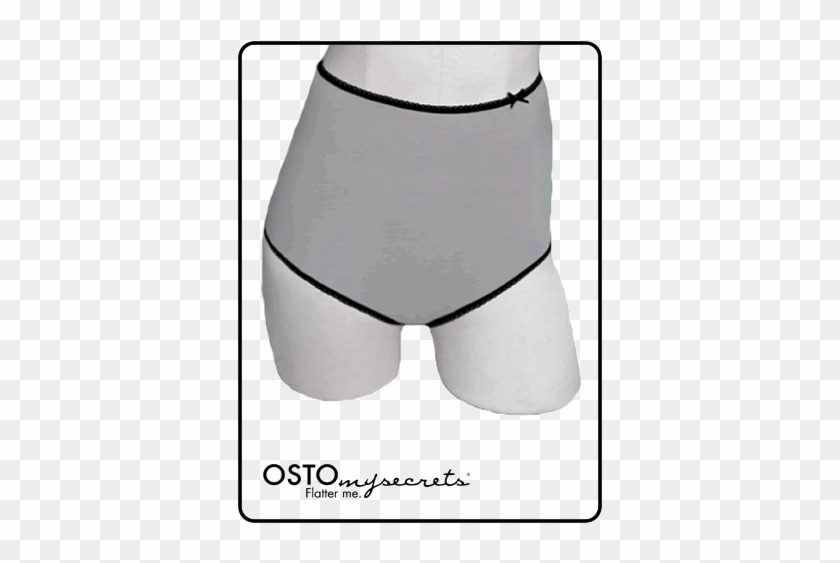 Full Coverage Panty Grey / Microfiber - Microfiber #1219422