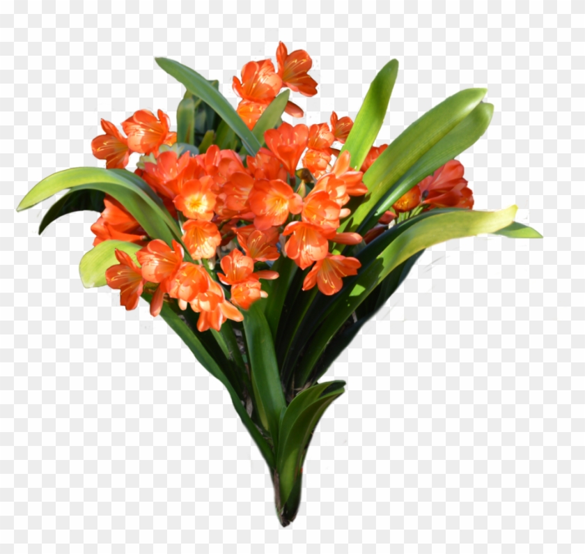 Orange Flowers, , Img File - Watering Pail Planter, Brown, Pots & Planters,wood, #1219731