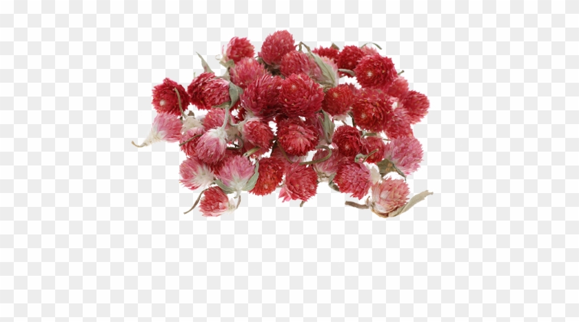 Bouquet #1220210