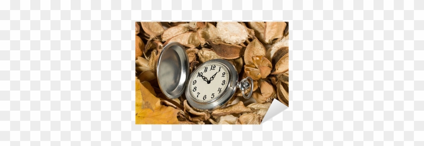 Antique Pocket Watch On Dried Flowers And Leaves Sticker - Mural #1220220