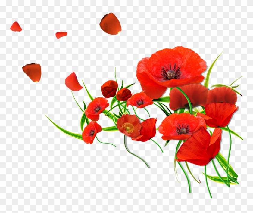 Remembrance Poppy Flower Common Poppy - Watercolor Flowers Red Png #1220262