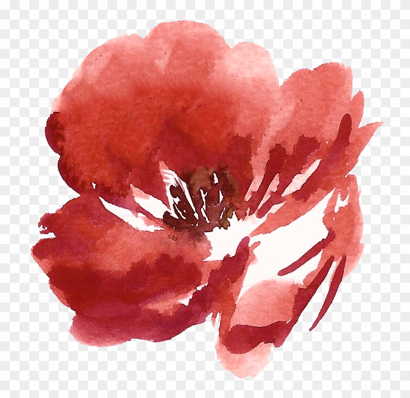   Watercolor Poppy Png #1220267