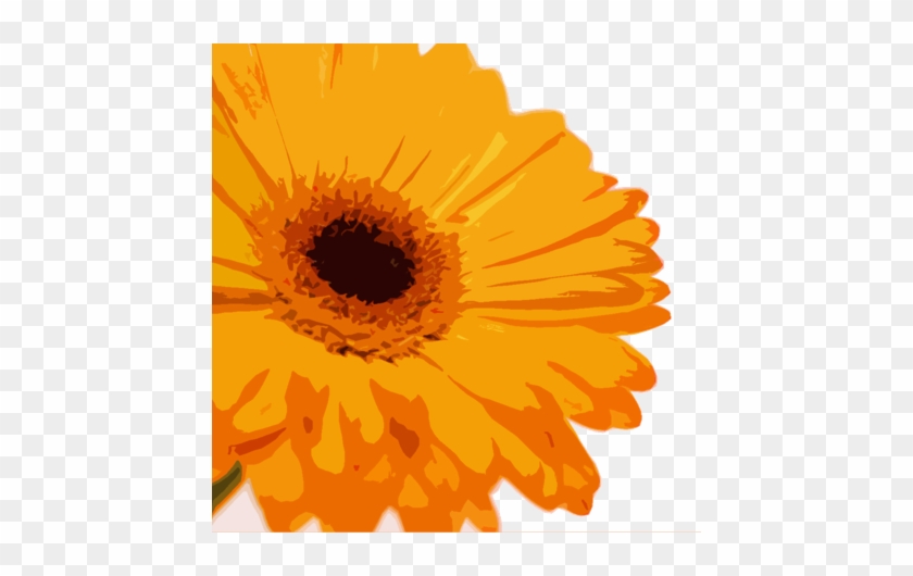 Flower - Blog #1220844