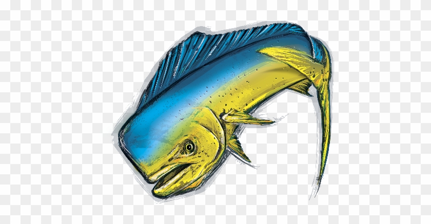 O Dourado Do Mar É Uma Espécie Migradora, Que Vive - Peixe Dourado Do Mar #1222010