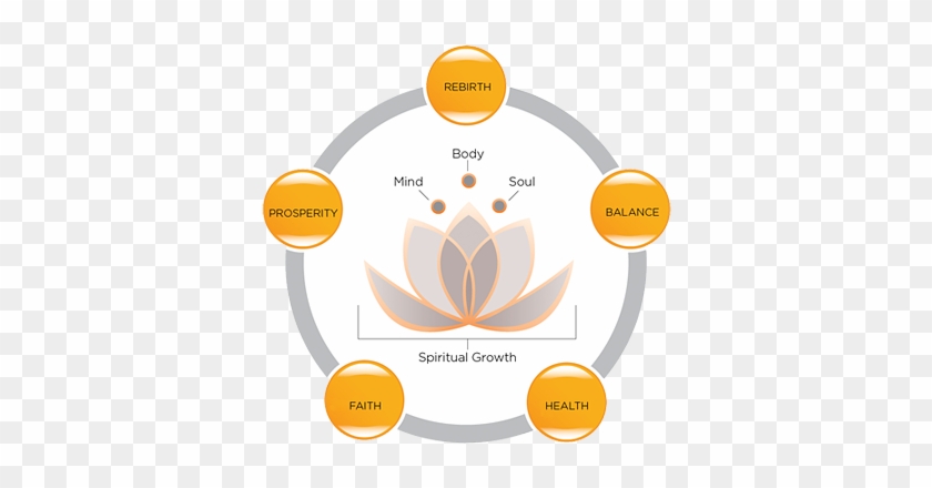 Serenity Clipart Spiritual Care - Significance Of Lotus Flower #1222589