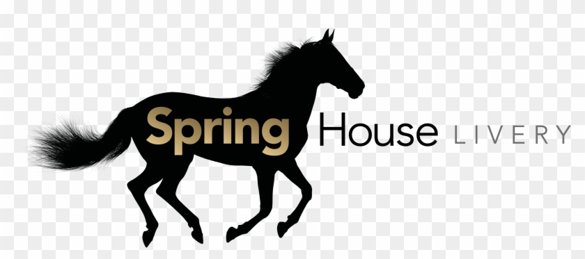 Enquire About Livery Now - Black Horse Inside Coolmore [book] #1223189