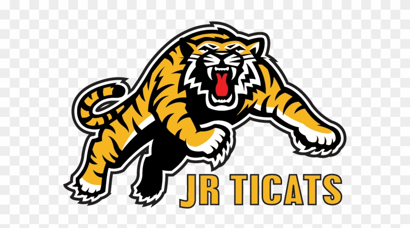 Ticats Roster - Ticats Roster #1223741