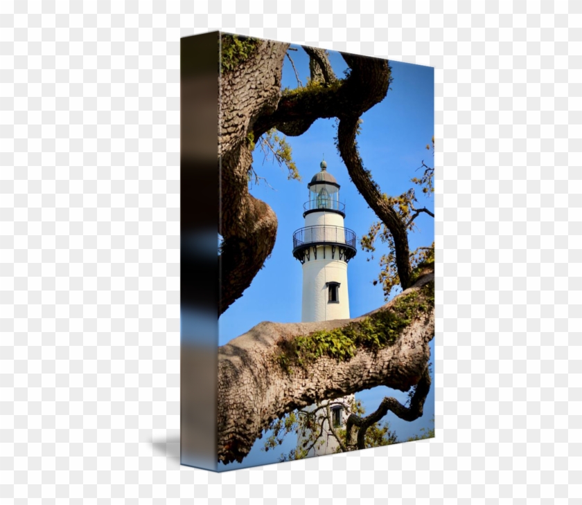 Lighthouse #1224603
