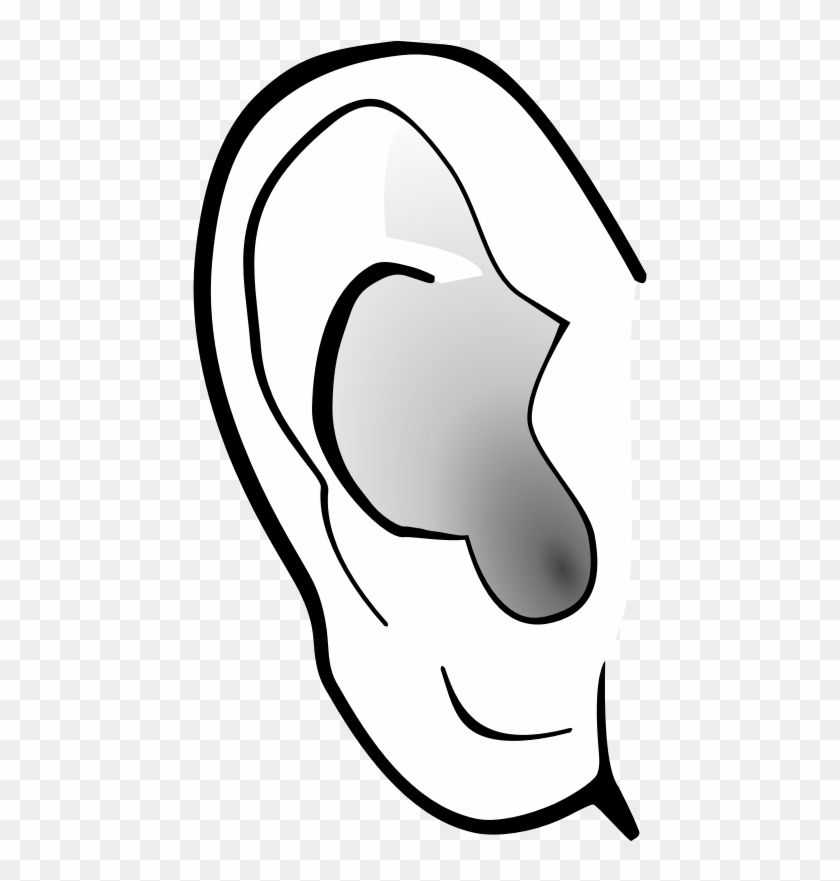 Ear Clipart - Ear Clipart #1225406