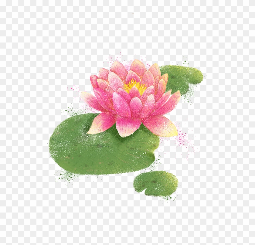 Watercolor Painting Illustration - Lotus Png #1225875