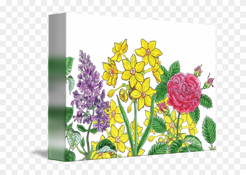 Floribunda #1225876