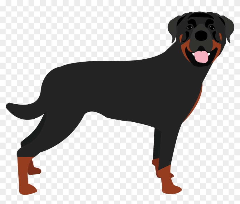 Rottweiler Base #1226131