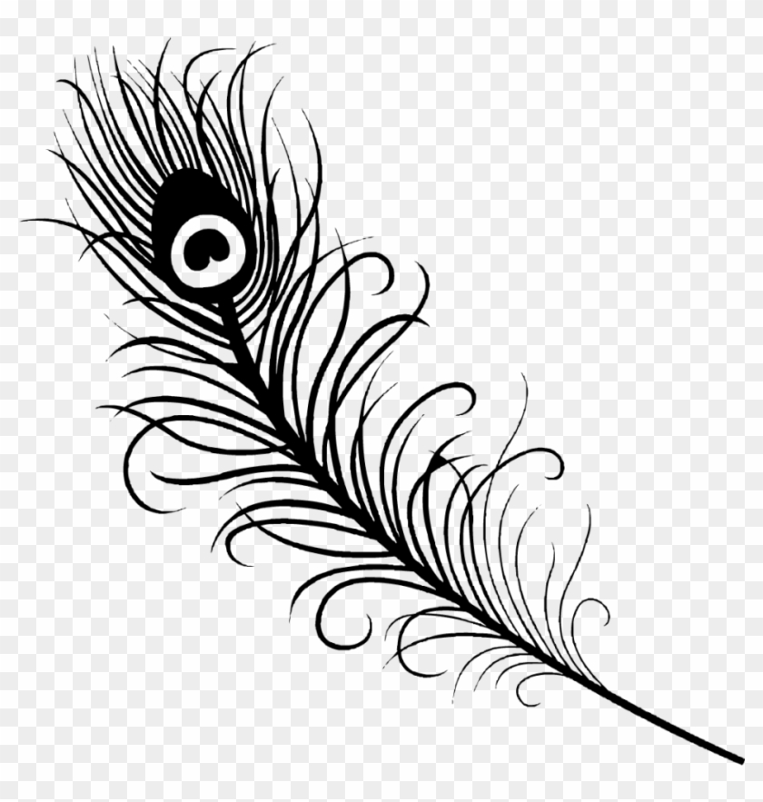Successful Peacock Feather Coloring Page Books And - Peacock Feather Clipart Black And White #1226528