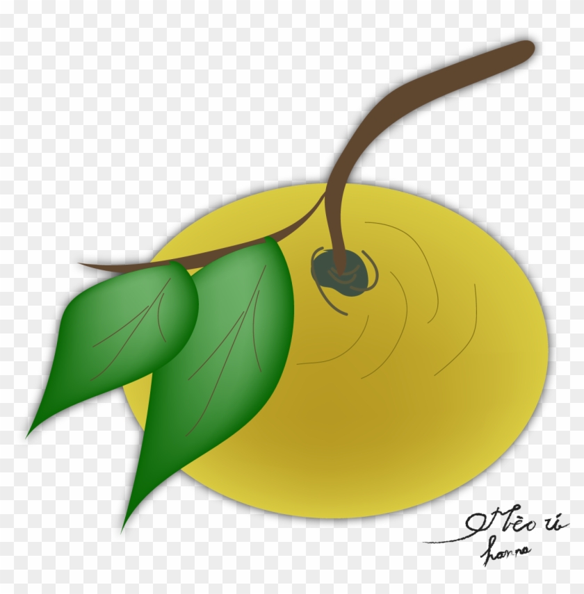 Fruits In Vietnam By Hanna - Illustration #1226811