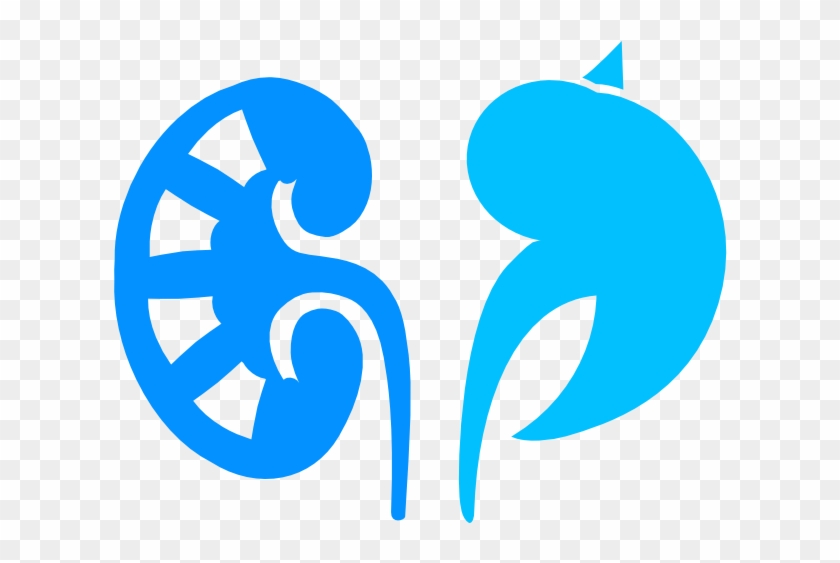 Nephjc Live At Asn Kidney Week - Nephrology Png #196876