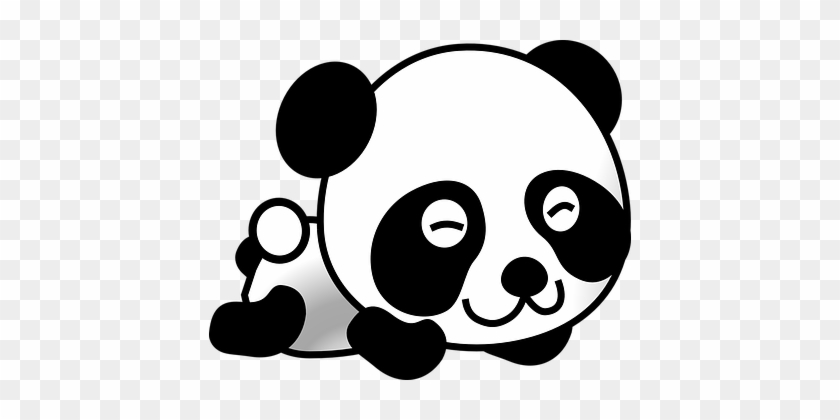Panda Giant Panda Bear Animal White China - รูป การ์ตูน หมี แพนด้า #199976